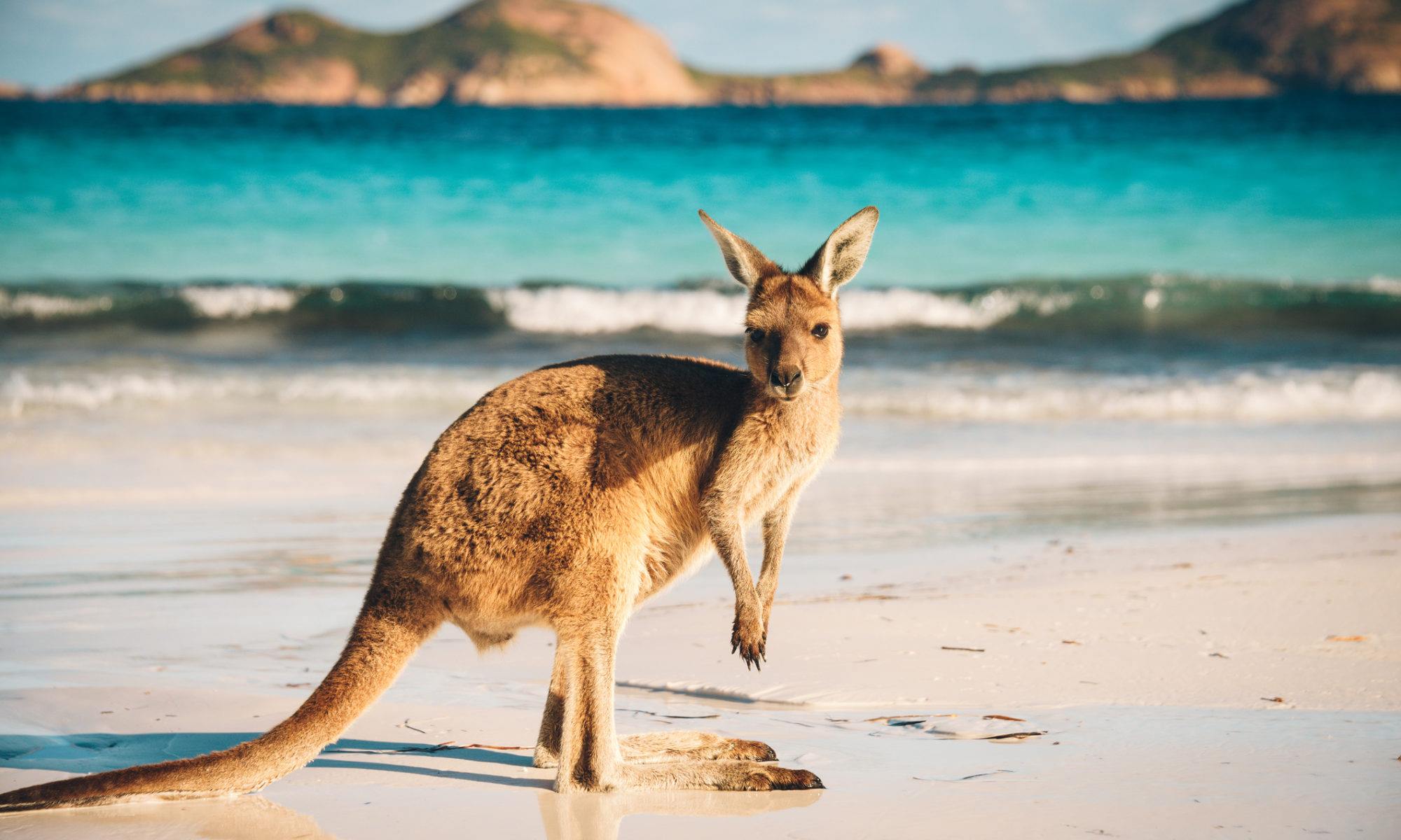 Asia is the future of Australia’s inbound tourism, not just China
